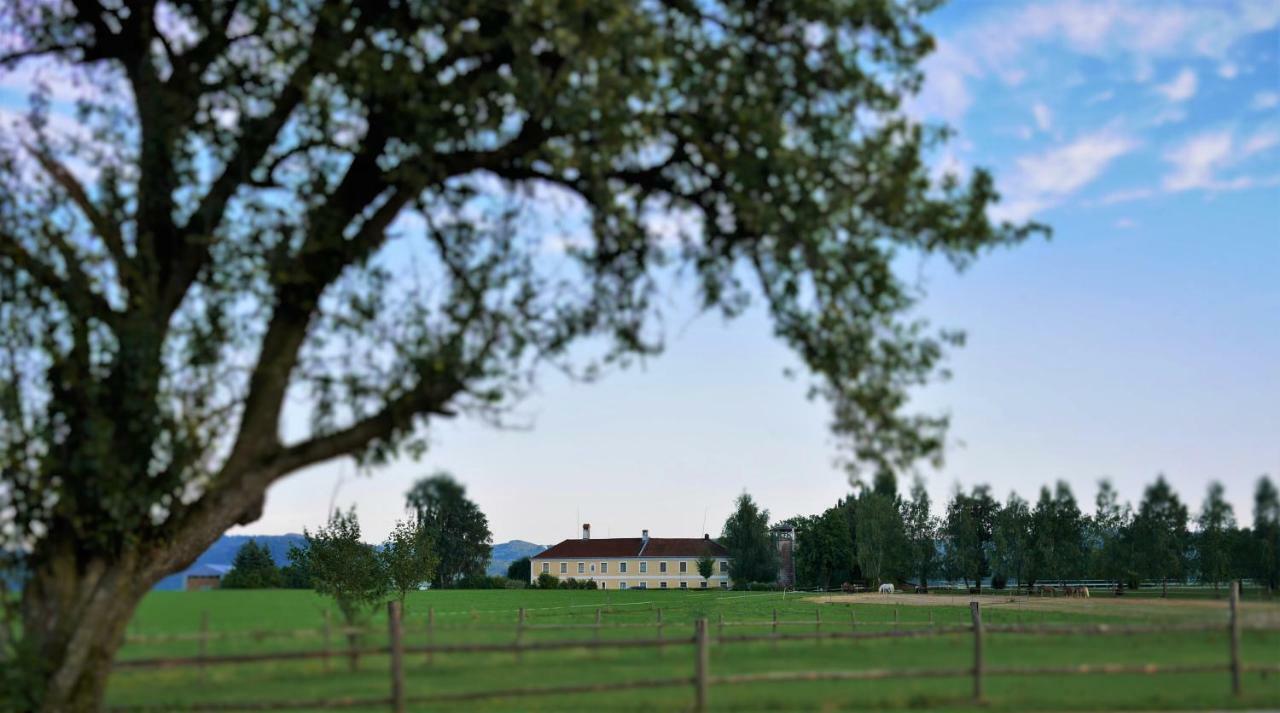 Reiterbauernhof Schoenlehenhof Mank Екстериор снимка